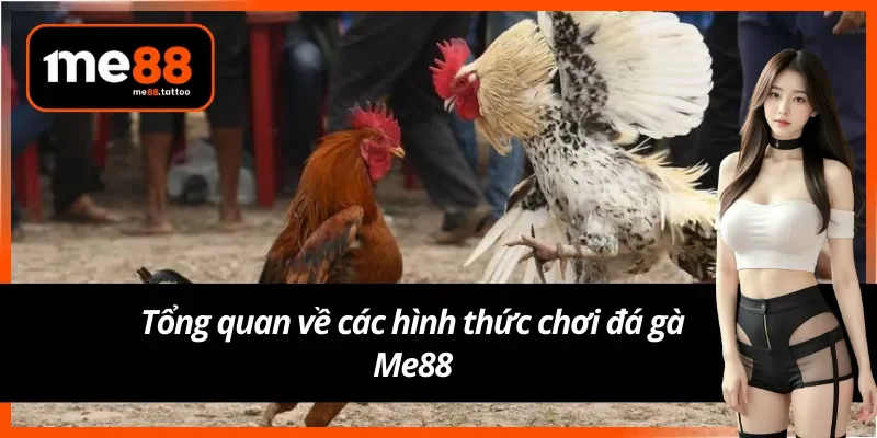 Giới thiệu chi tiết các cách chơi đá gà phổ biến ở Me88