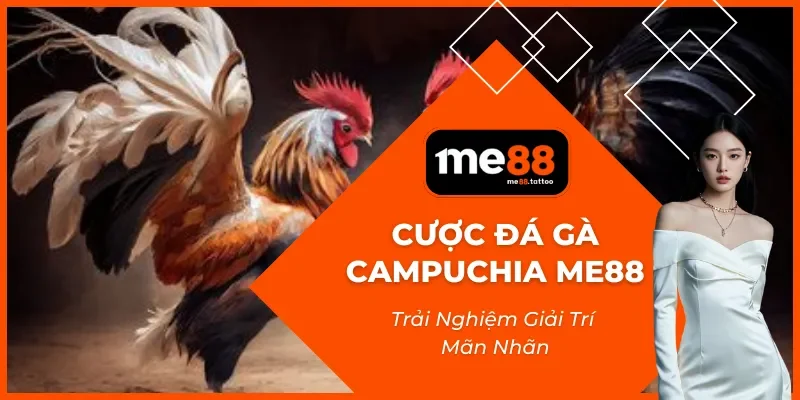 Cược Đá Gà Campuchia Me88